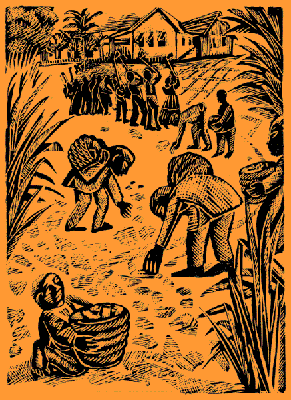 Kwame works in the fields