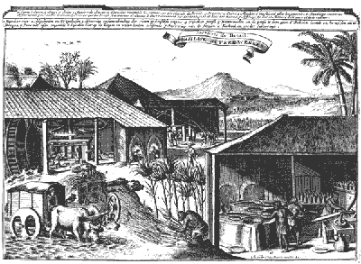 An engraving of a Brazilian sugar plantation