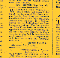 News article