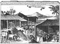An engraving of a Brazilian sugar plantation